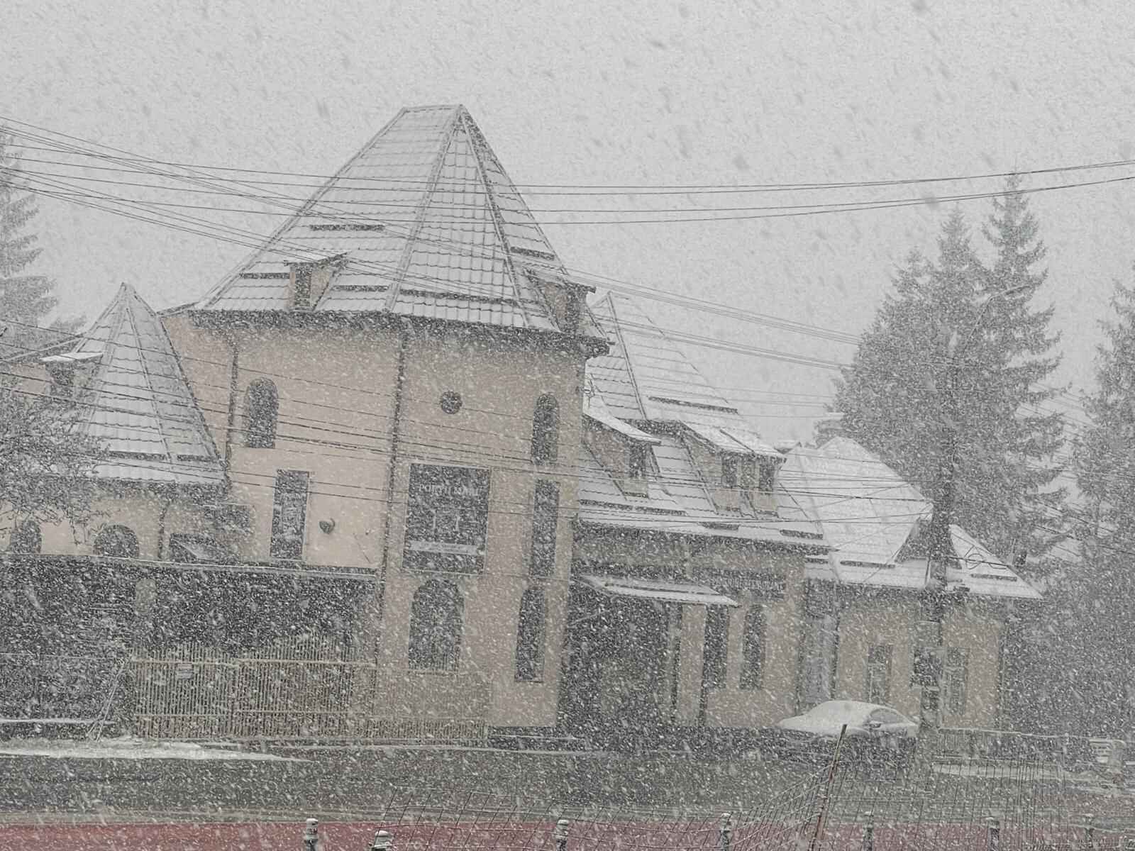 Farfuria cu ninsoare